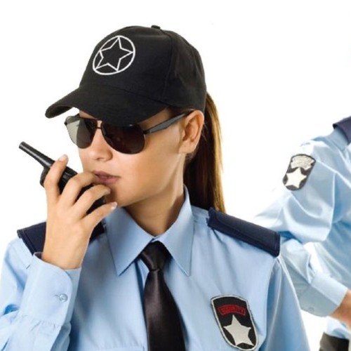 Security Services and Agencies